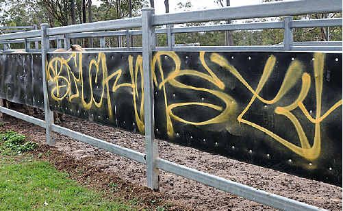Extensive graffiti was found at Gympie Saleyards. Extensive graffiti was found at Gympie Saleyards.